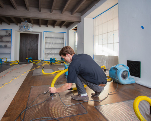 5 Star Services team working