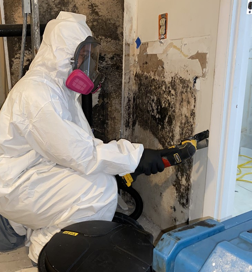 Mold Testing in Pelham