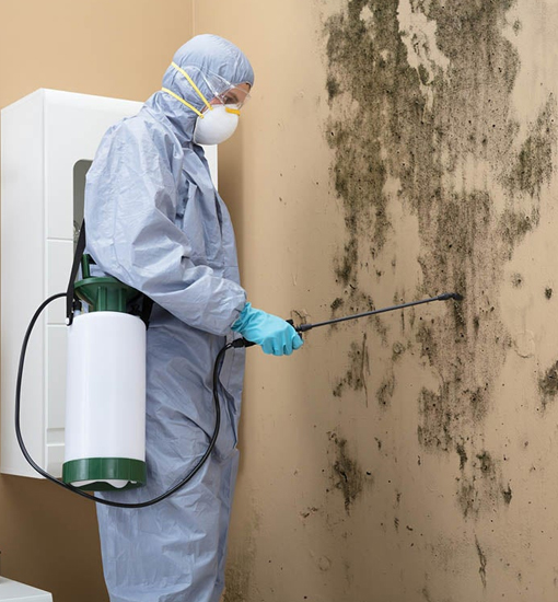 Crawlspace mold cleaning in Pelham