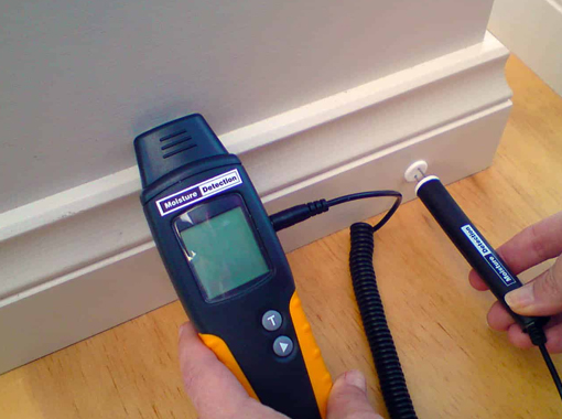 Mold Mitigation in Pelham