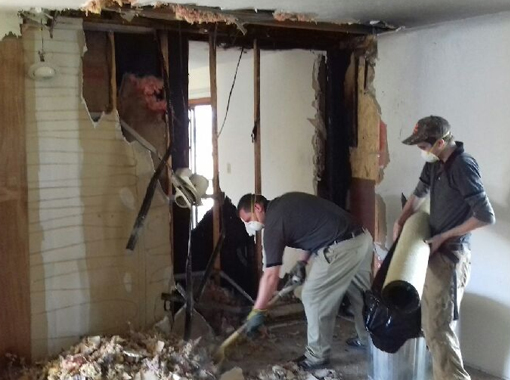 Mold Cleaning in Pelham