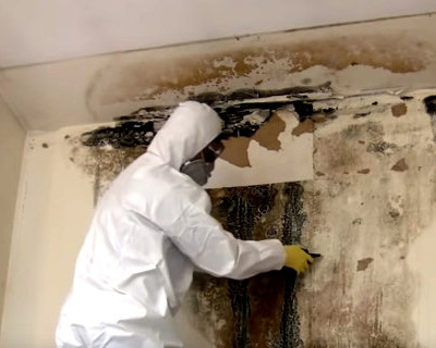 Educational institutions