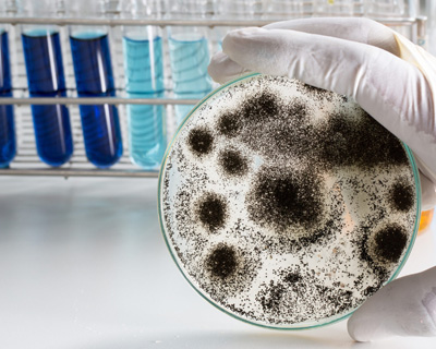 Healthcare facilities