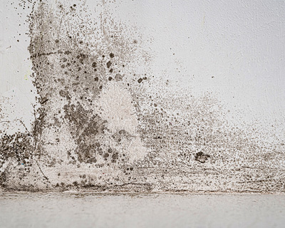 Manufacturing plants