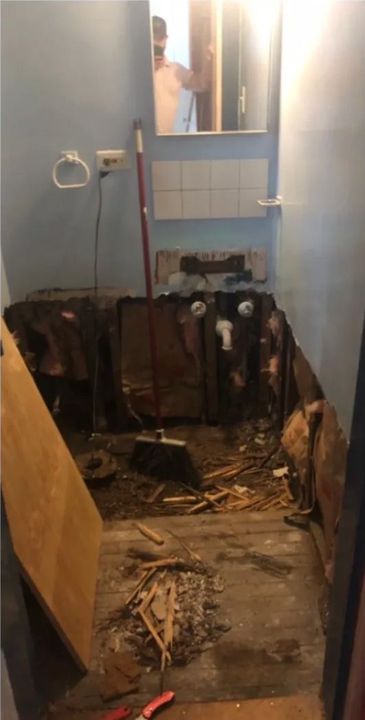 Mold infestation before remediation