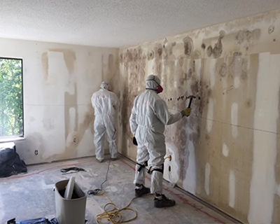 Mold remediation in home
